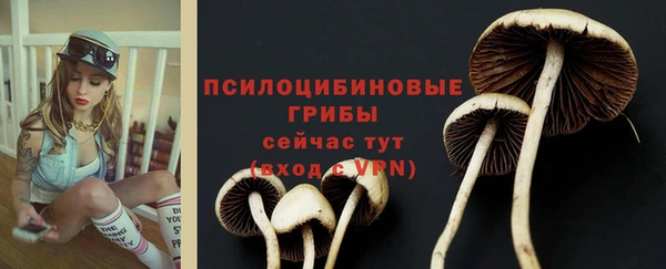 марки nbome Горнозаводск