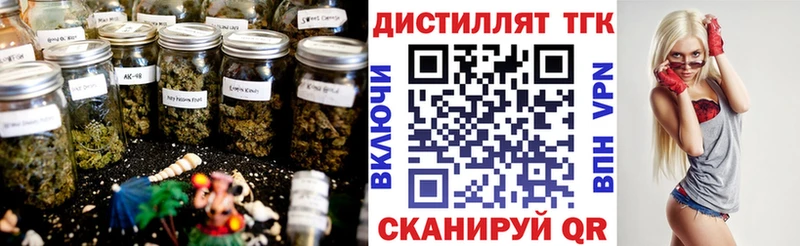 дарнет шоп Заполярный Дистиллят ТГК концентрат