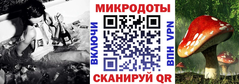 ссылка на мегу зеркало  наркошоп  Заполярный  Псилоцибиновые грибы Psilocybine cubensis 